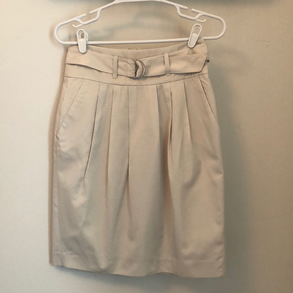 Banana Republic Skirt